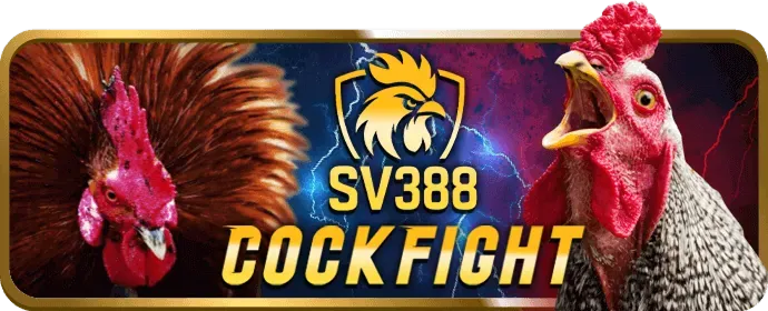 Mạng Xã Hội 8ki